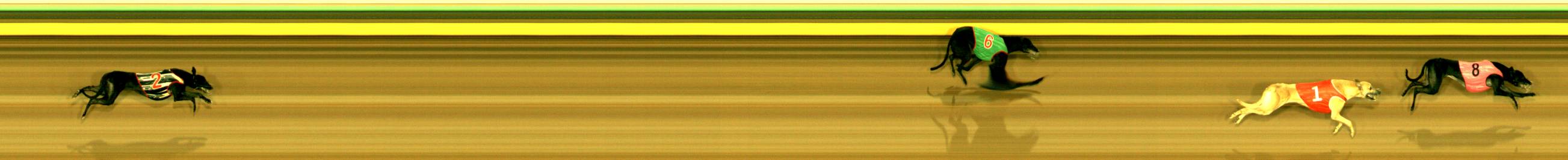 Race result finish photo